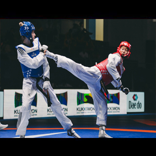 Taekwondo Videos